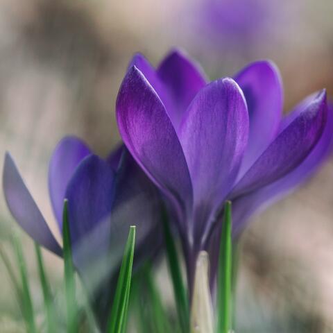 Piano K-Pop Album #7