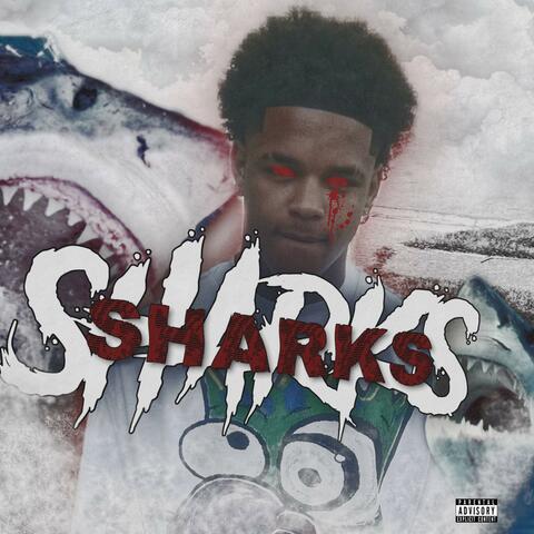 sharks