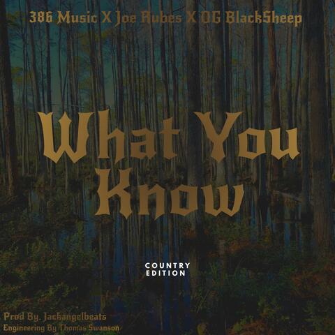 What You Know (feat. O.G. BlackSheep & Twisted Wrench)