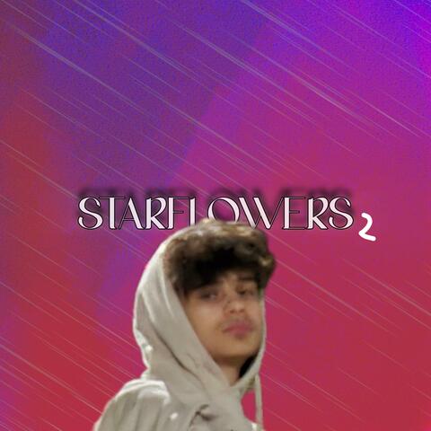 STARFLOWERS Pt. 2 (Instrumental)