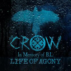 The Crow (In Memory of B.L.)