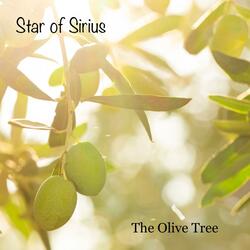 The Olive Tree