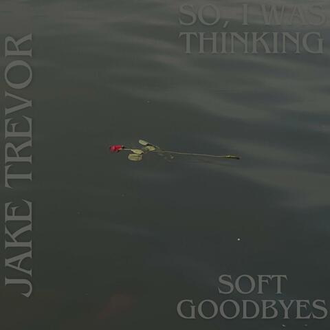 so, i was thinking/soft goodbyes