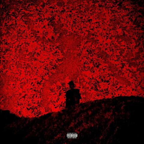 BLOOD MOON
