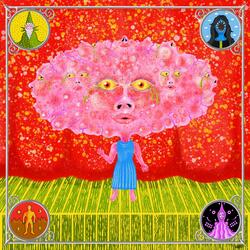 Hidden Hermit of the Hills