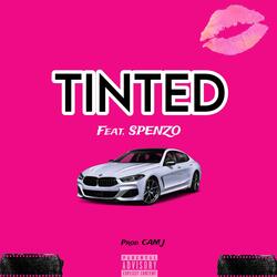 TINTED (feat. Spenzo)