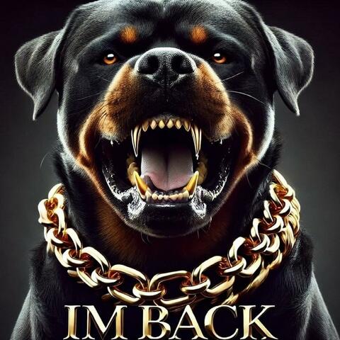 I'm Back