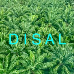 INTO THE MIST (RAIN)