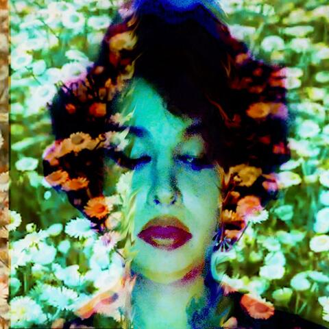 Like Daisies (Radio Edit)