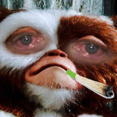 Sesh Gremlin