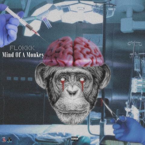 Mind of a Monkey