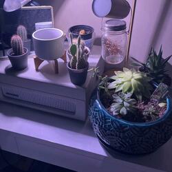 Brooklyn (feat. Akua)