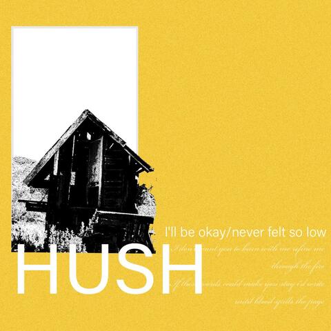 I'll Be Okay/Never Felt So Low