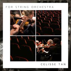 Wish (String Orchestra and Piano ver.)