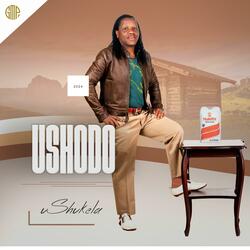 Isiphithiphithi