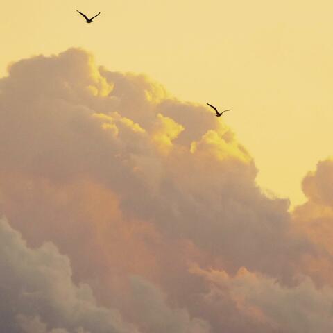Life, Death and Lament