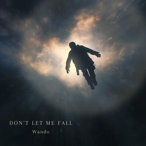 Don't Let Me Fall
