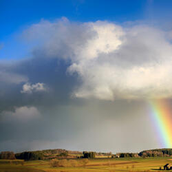 Rainbows