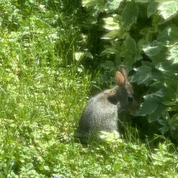 Mother Earth...She Like Me