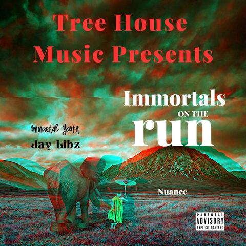 Nuance (feat. Jay Libz)
