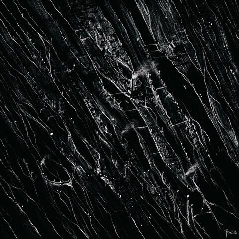 Rhizosphere