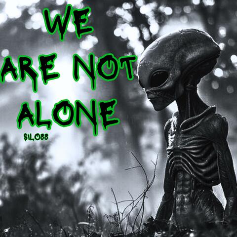 WE ARE NOT ALONE