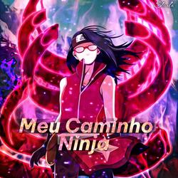Meu caminho Ninja
