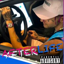 Afterlife