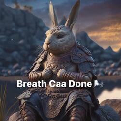 Breath caa done (Reggae Subliminal Alchemy Breathwork music)
