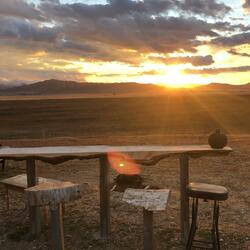 You Brought Me To Life