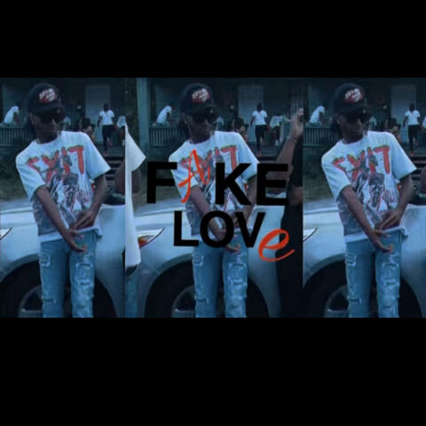 FAKE LXVE