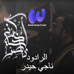 إذكرني ناصر | ناجي حيدر