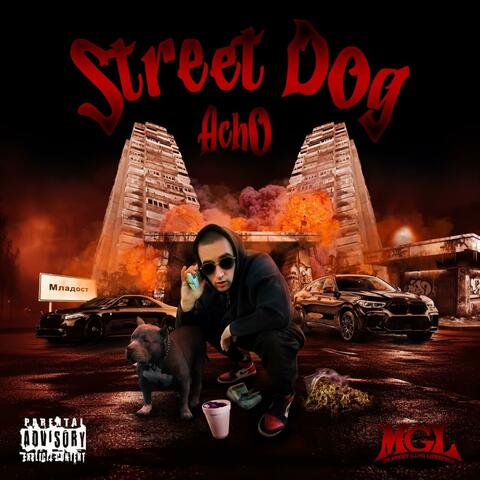 Street Dog