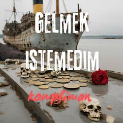 Gelmek İstemedim