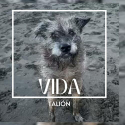 Vida (feat. Gabeats music)