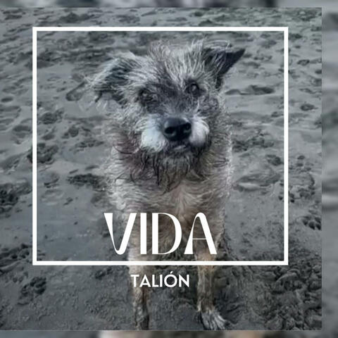Vida (feat. Gabeats music)
