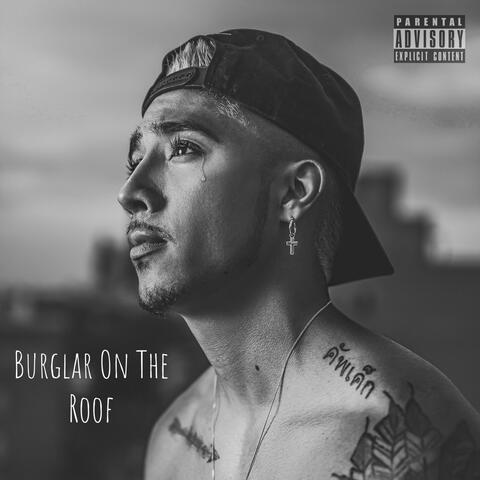 Burglar On The Roof