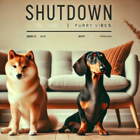Shutdown