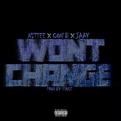 Wont Change (feat. Con B & F.H.E Jaay)