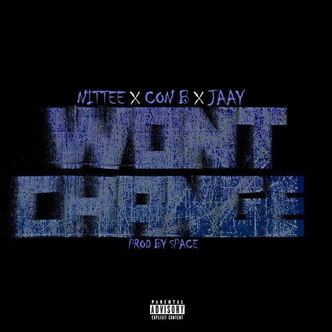 Wont Change (feat. Con B & F.H.E Jaay)