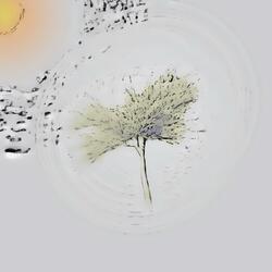 Saison (feat. Chab de Mauresca)