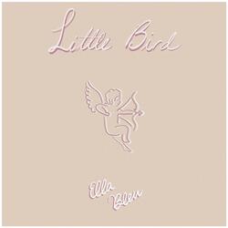 Little bird