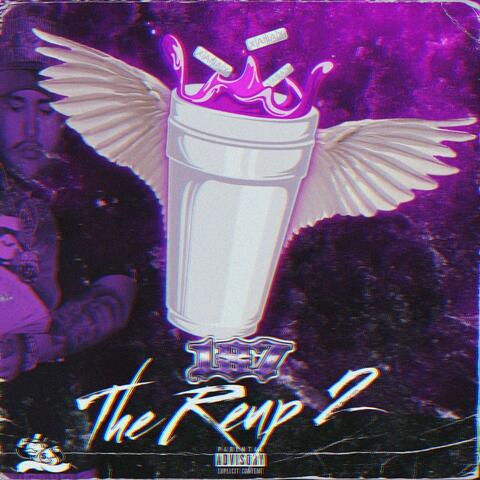 The Reup 2