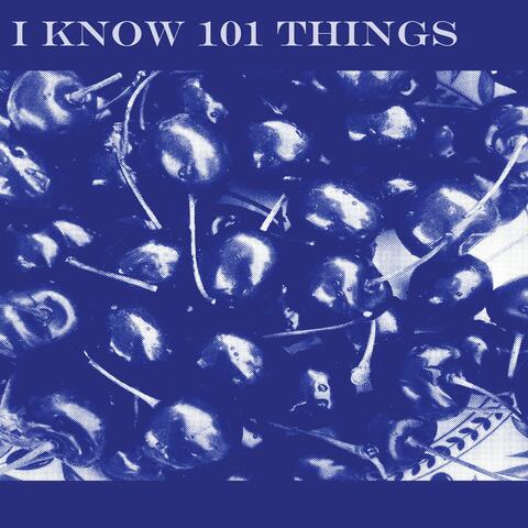 I Know 101 Things