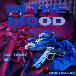 IN THE MOOD (feat. SK TONE (tha p))