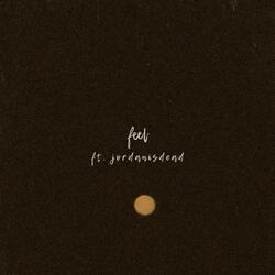 FEEL (feat. jordanisdead)