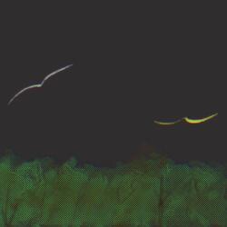I left you over the forest