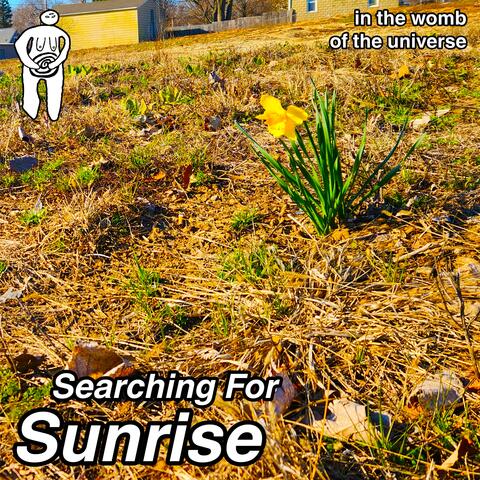 Searching For Sunrise