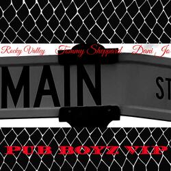 Pub Boyz VIP (feat. Tommy Sheppard & Dani Jo)