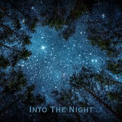 Into The Night